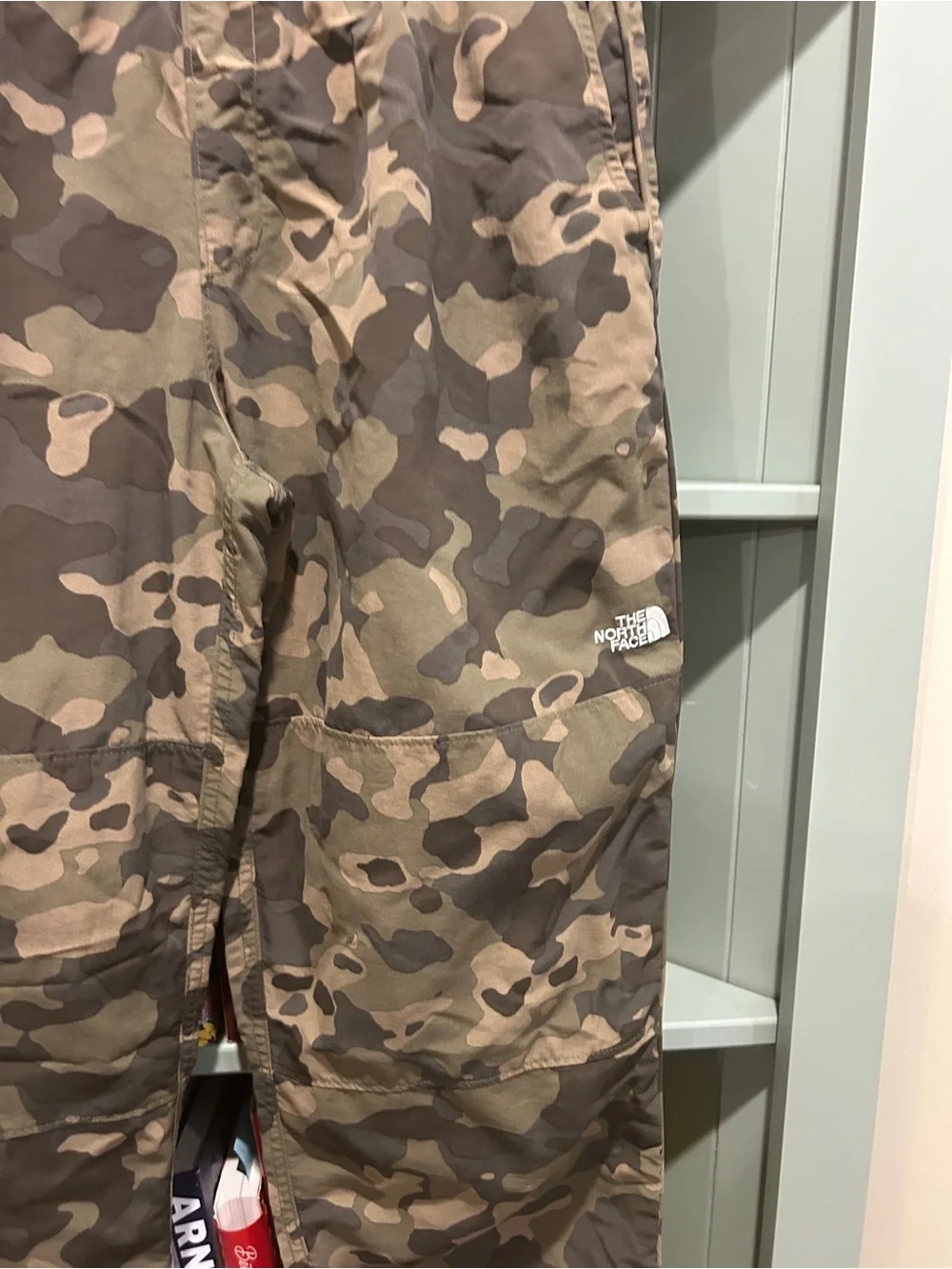 The North Face Men's Camo Cargo Pants - Olive/Brown